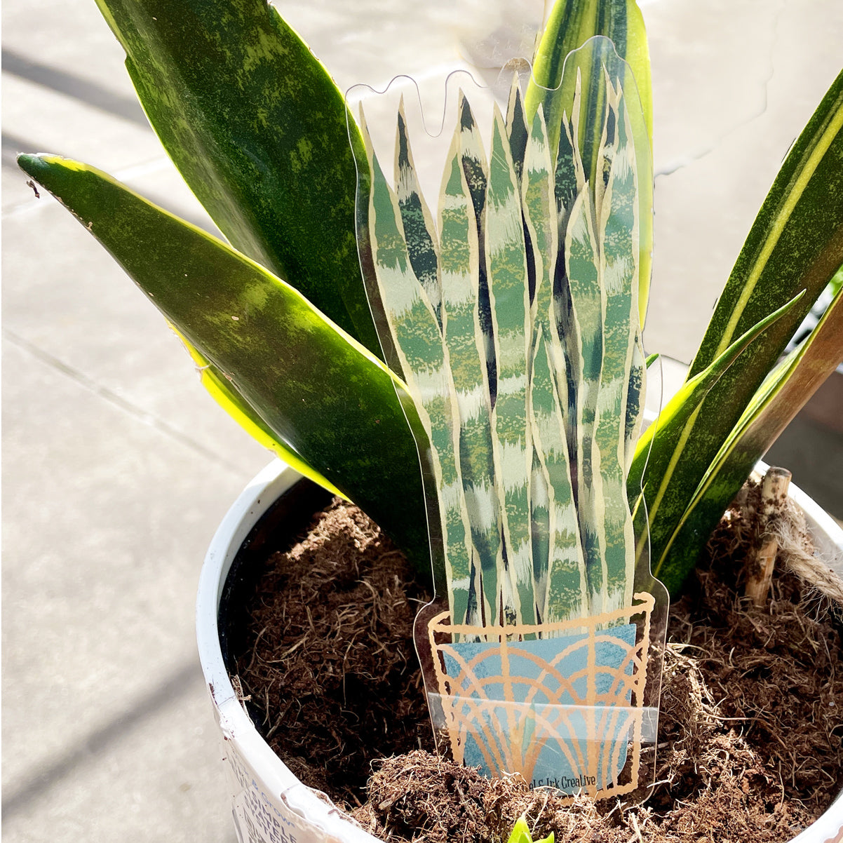 Snake Plant Bookmark