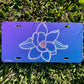 Louisiana PVC License Plates