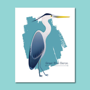 Ardea herodia -- Blue Heron