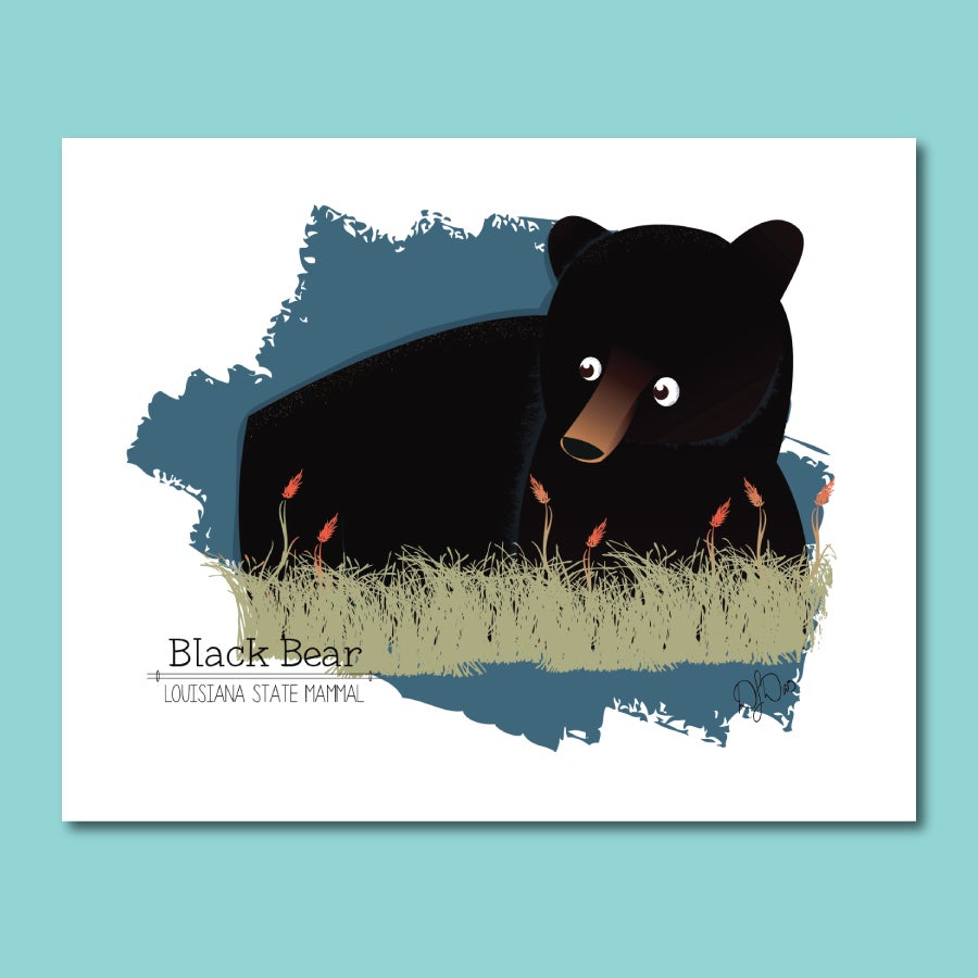 Ursus americanus luteolus -- Louisiana Black Bear