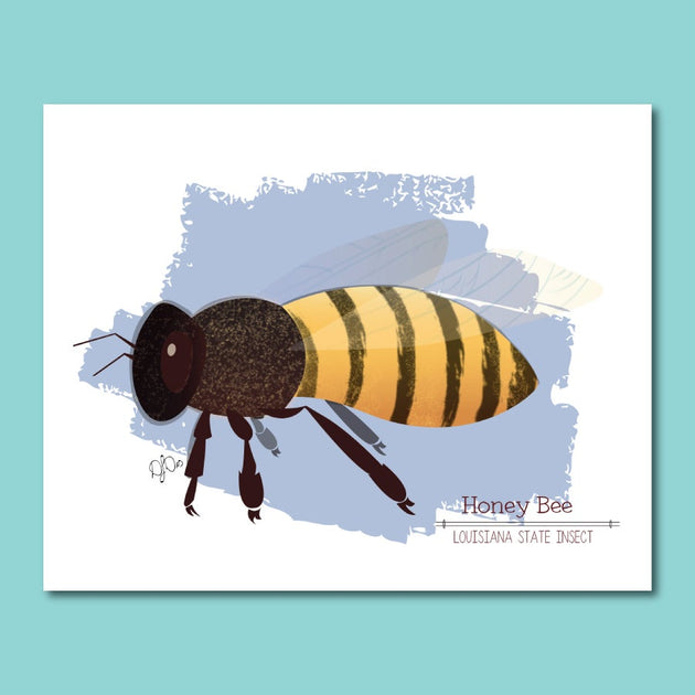 Apis mellifera Art Print | Honey Bee Illustration | Pixel & Ink Creative