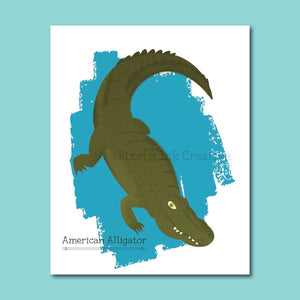 Alligator mississippiensis -- American Alligator