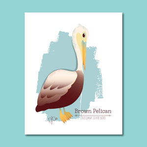Pelecanus occidentalis -- Brown Pelican