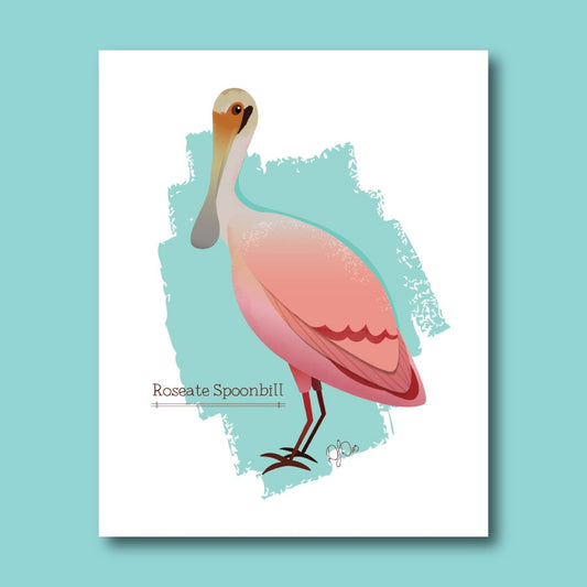 Platalea ajaja -- Roseate Spoonbill